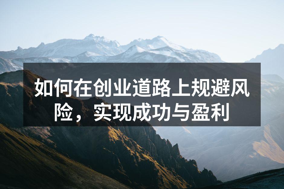 如何在创业道路上规避风险，实现成功与盈利